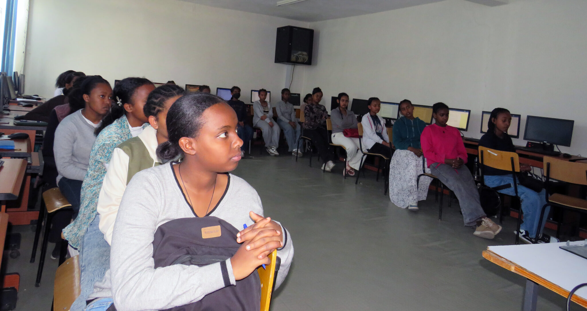 Empowering the Next Generation of Women in STEM – STEM Synergy